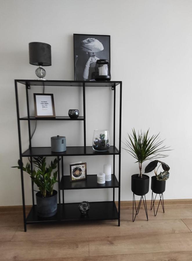 Apartament Mazury ケントシン エクステリア 写真
