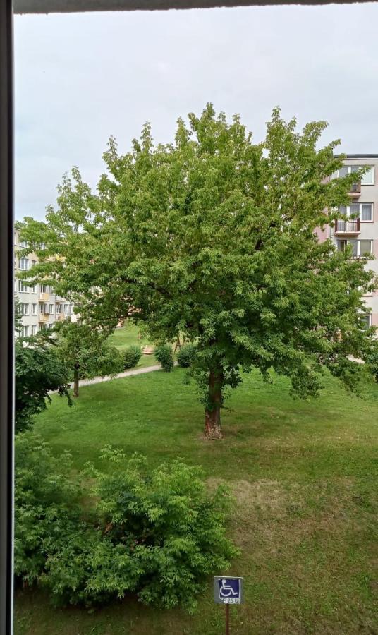 Apartament Mazury ケントシン エクステリア 写真